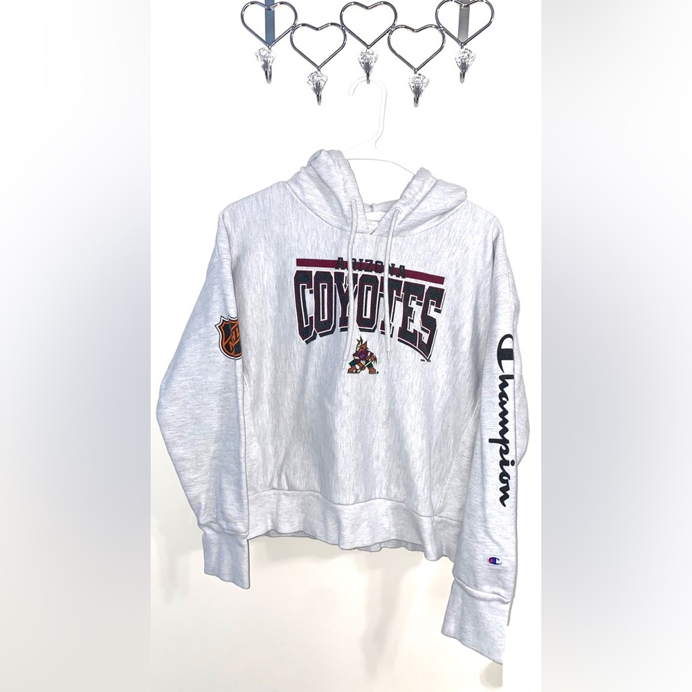 Champion Reverse Weave Arizona Coyotes Hockey Hoodie Medium